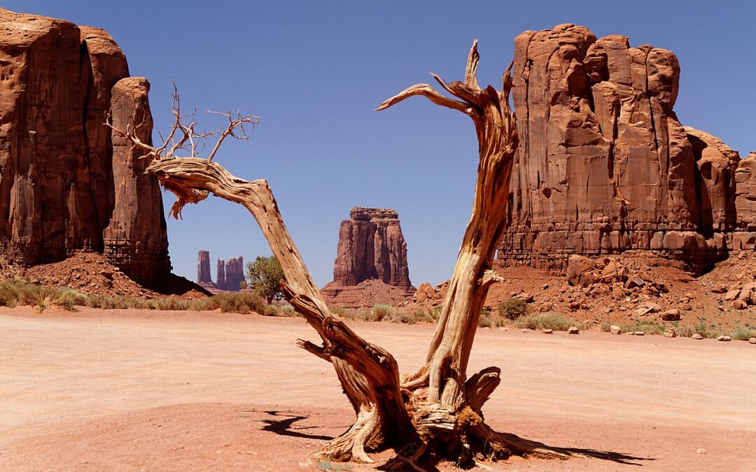 Theaterpremiere „Das verlorene Land“